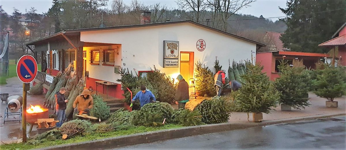 Weihnachtsbaumverkauf des VfB