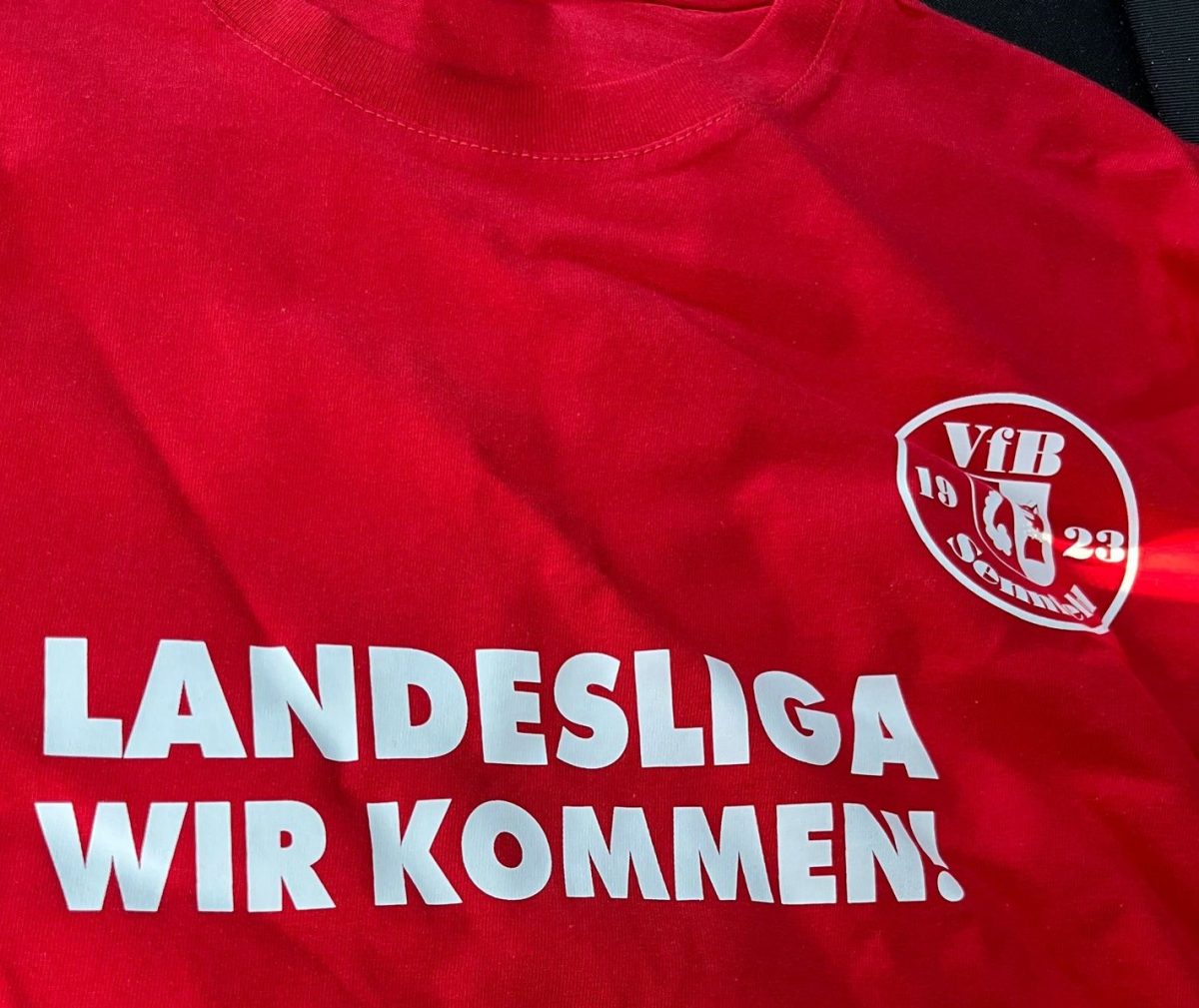 Aufstiegshirts des VfB zu verkaufen