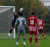 DSC02439