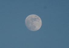 DSC03405